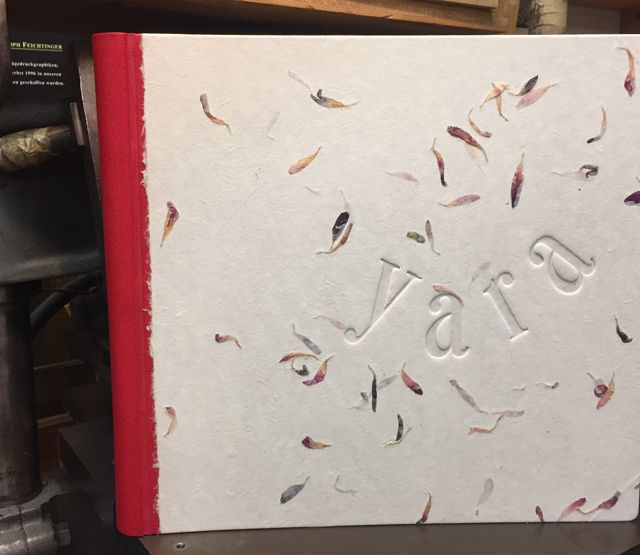 Geburts-Fotoalbum
