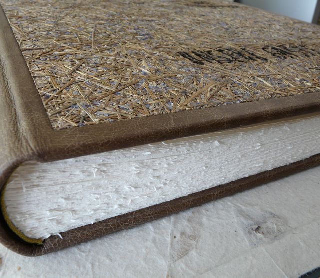 Gästebuch Organoidfurnier