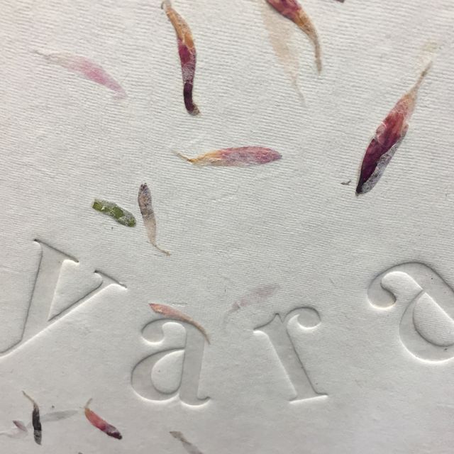 Geburts-Fotoalbum