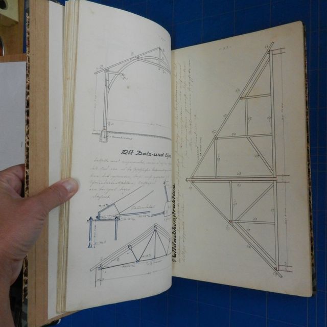 Reproduktion